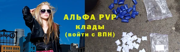 крисы Богородск