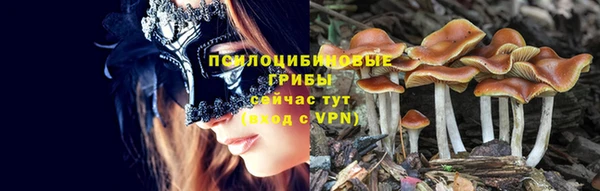 индика Богородицк