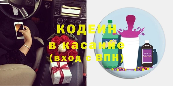индика Богородицк