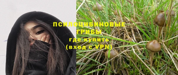 ALPHA PVP Богданович