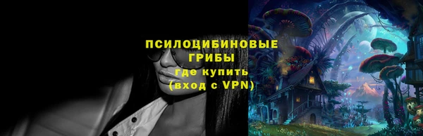 крисы Богородск