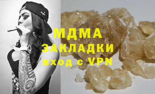 индика Богородицк