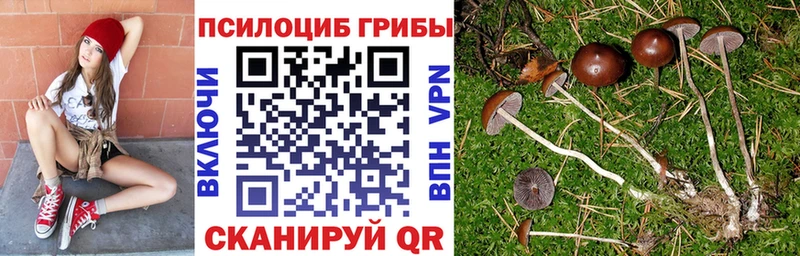 Галлюциногенные грибы GOLDEN TEACHER  Кирс 